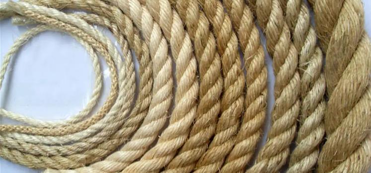 sisal rope of wire rope suppliers specification