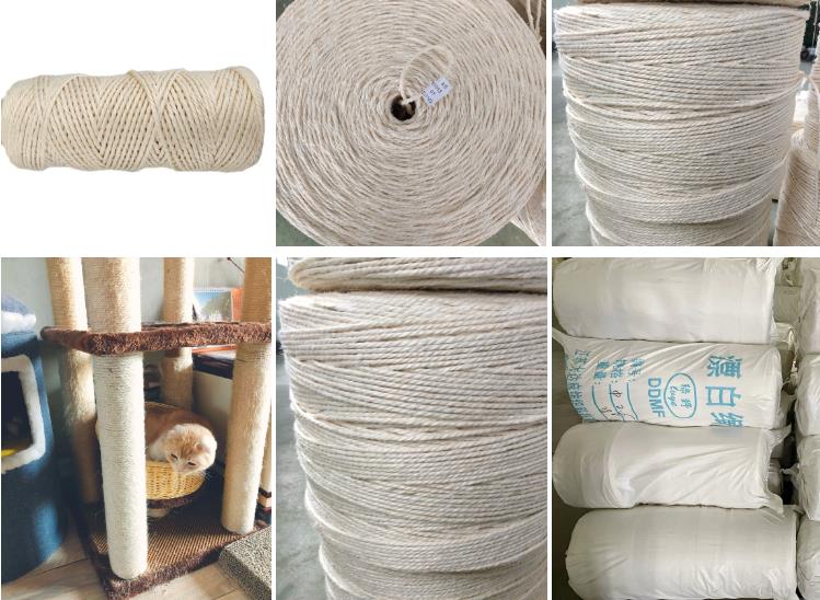 cat eating sisal rope application