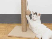 Cat Climb Jute Rope